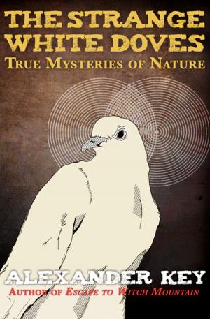 Cover of the book The Strange White Doves by Manju Kapur