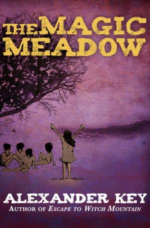 bigCover of the book The Magic Meadow by 