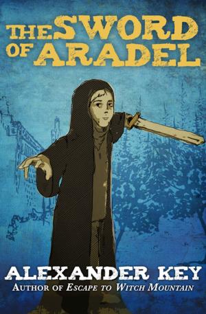 Cover of the book The Sword of Aradel by Robert Newman