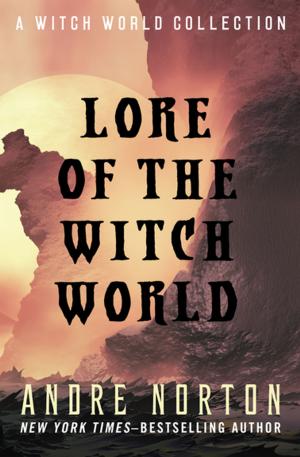 bigCover of the book Lore of the Witch World by 