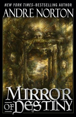Cover of the book Mirror of Destiny by R. A. MacAvoy