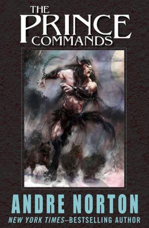Cover of the book The Prince Commands by Robin Morgan