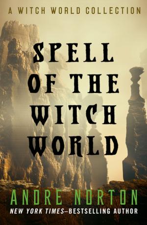 Cover of the book Spell of the Witch World by Constance O'Day-Flannery