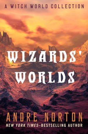 Cover of the book Wizards' Worlds by Robert Silverberg
