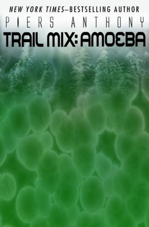 Cover of the book Amoeba by Michael-Scott Earle