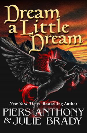 Cover of the book Dream a Little Dream by Timothy Zahn