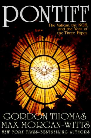 Cover of the book Pontiff by Oisín McGann