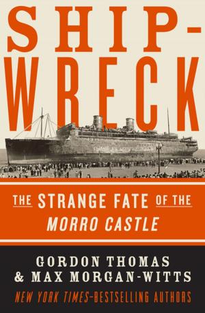 Cover of the book Shipwreck by Barbara Parker