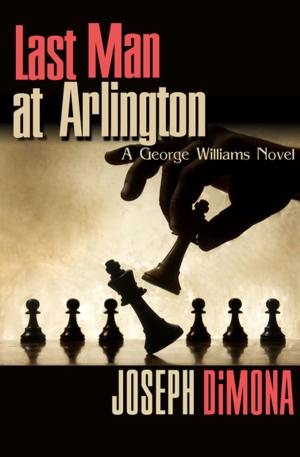 Book cover of Last Man at Arlington