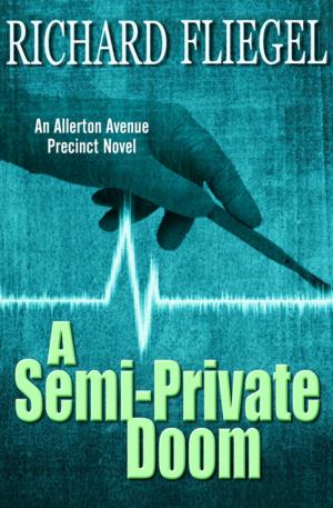 Cover of the book A Semi-Private Doom by Bonnie Bryant
