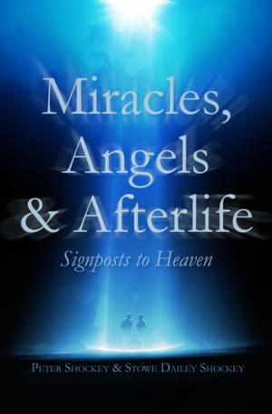 Cover of the book Miracles, Angels &amp; Afterlife by James Alan Gardner