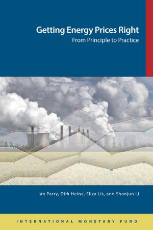 Cover of the book Getting Energy Prices Right: From Principle to Practice by Ugo Mr. Fasano-Filho, Andrea Ms. Schaechter