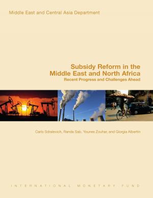 Cover of the book Subsidy Reform in the Middle East and North Africa by Giovanni Mr. Dell'Ariccia, Paolo Mr. Mauro, André Mr. Faria, Jonathan Mr. Ostry, Julian di Giovanni, Martin Mr. Schindler, M. Mr. Kose, Marco Mr. Terrones