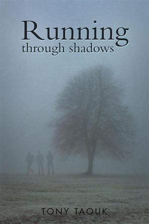 Cover of the book Running Through Shadows by Terry Hodgson