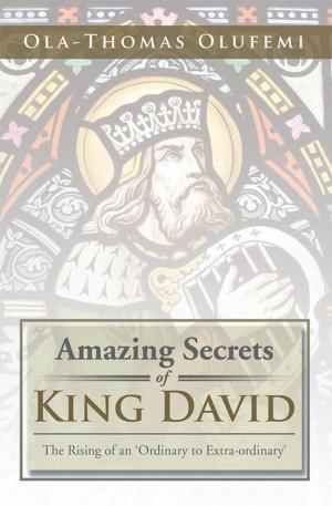 Book cover of Amazing Secrets of King David