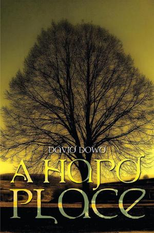 Cover of the book A Hard Place by Sarah D. Johnson