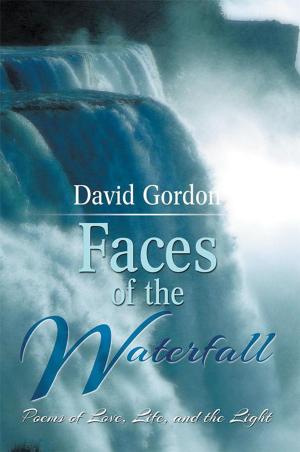 Cover of the book Faces of the Waterfall by Katherine Peddle Dixon