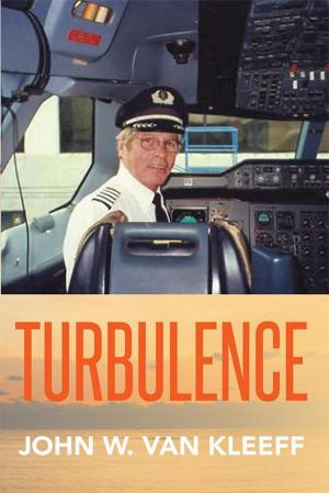 Cover of the book Turbulence by Reva Spiro Luxenberg