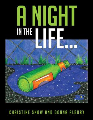 Cover of the book A Night in the Life... by L.B. Joseph Sr.