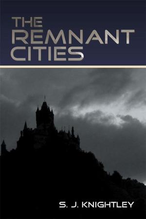 Cover of the book The Remnant Cities by John Jarvis