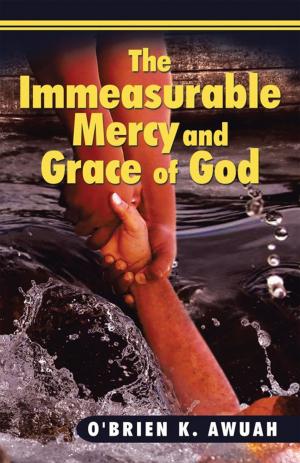 Cover of the book The Immeasurable Mercy and Grace of God by Jameo D. Pollock