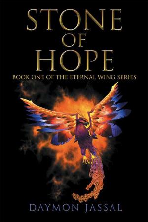 Cover of the book Stone of Hope by Paul Morgana