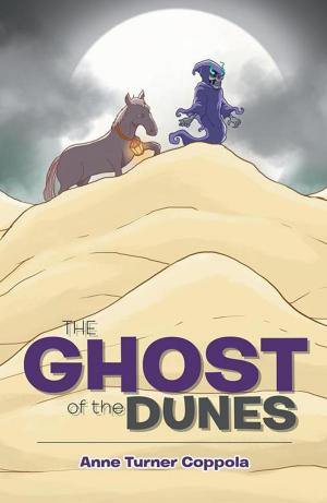 Cover of the book The Ghost of the Dunes by Jacqueline Prydie