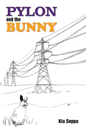 Cover of the book Pylon and the Bunny by Jinty