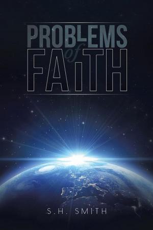 Cover of the book Problems of Faith by Ursula Krammer Maynard