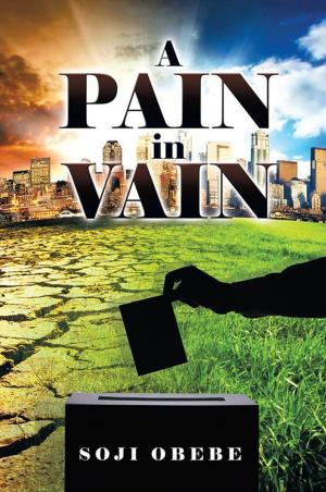 Cover of A Pain in Vain