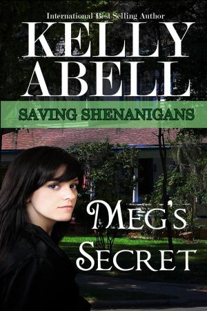 Cover of the book Meg's Secret by Sabrina Sims McAfee