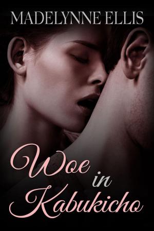 Cover of the book Woe in Kabukicho by Cyndi Friberg
