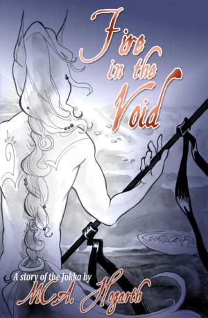 Cover of the book Fire in the Void by Kellie Steele