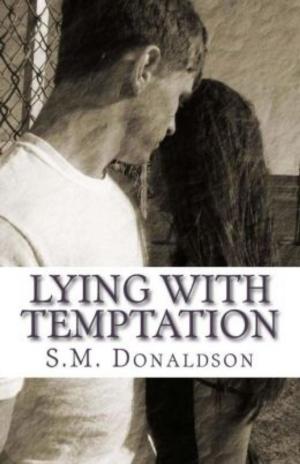 Book cover of Lying With Temptation