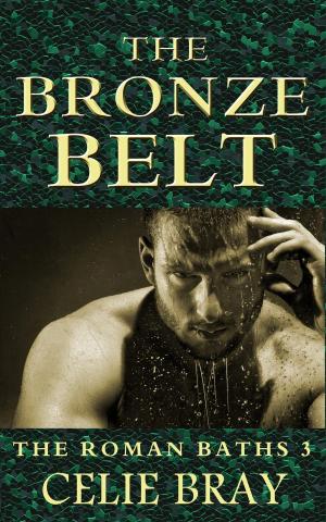 Cover of the book The Bronze Belt by Eva Clark