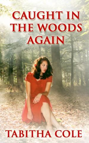 Cover of Caught In The Woods Again (M/M/F Menage, Multiple Partner, DP, Public Exhibitionist Stranger Sex, Extreme Erotica)