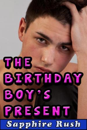 Cover of The Birthday Boy's Present (CBT gay figging)