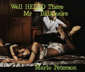 Book cover of Hello There, Mr. Billionaire
