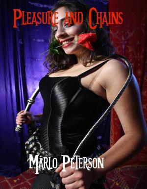 Cover of the book Pleasure and Chains by JR Rogers