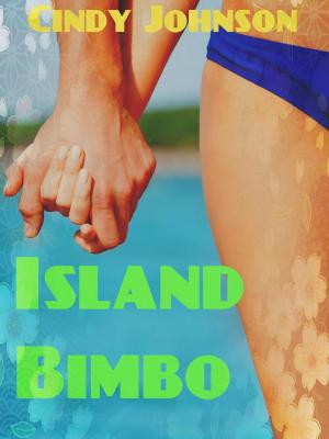 Book cover of Island Bimbo