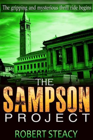 Cover of the book The Sampson Project by Glen Weissenberger