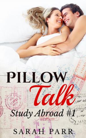 Book cover of Pillow Talk (Contemporary Erotic Romance)