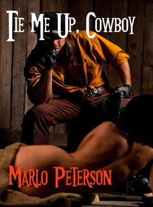 Cover of the book Tie Me Up Cowboy by Constanza von Blumenau