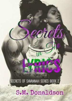Book cover of Secrets in The Lyrics