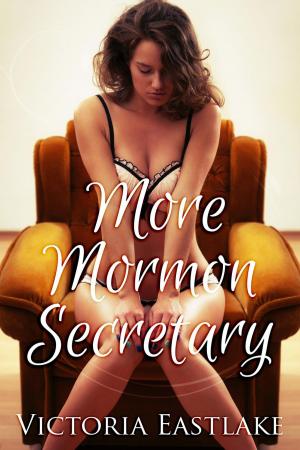 Cover of the book More Mormon Secretary by Tracy Quan