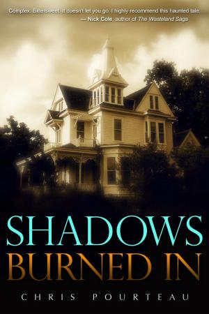 Book cover of Shadows Burned In