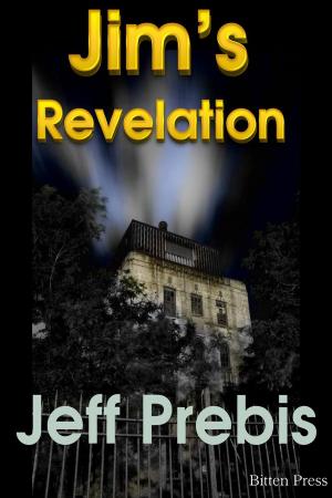 Cover of the book Jim's Revelation by Suzzana C Ryan