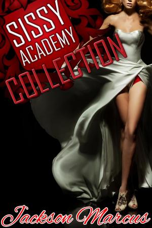 Cover of the book Sissy Academy Collection by Christina Black