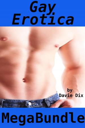 Book cover of Gay Erotica Mega Bundle
