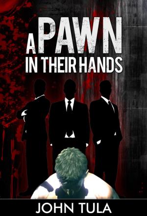 Cover of the book A pawn in their hands by Terri Dixon
